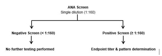 ANA Screen Graphic